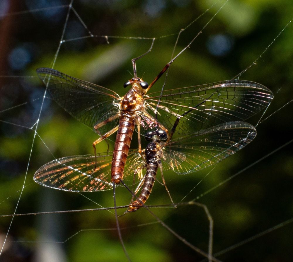 Photograph by Sabet Vahid
