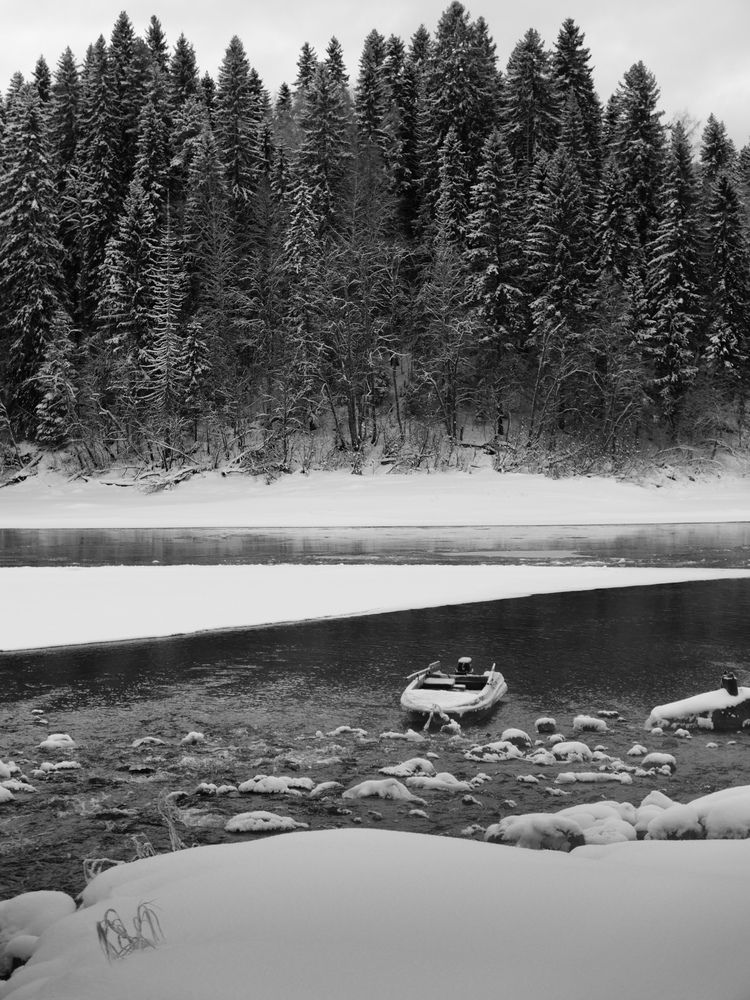 Photo #11890157