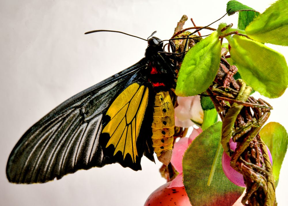 Photograph by Аркадий