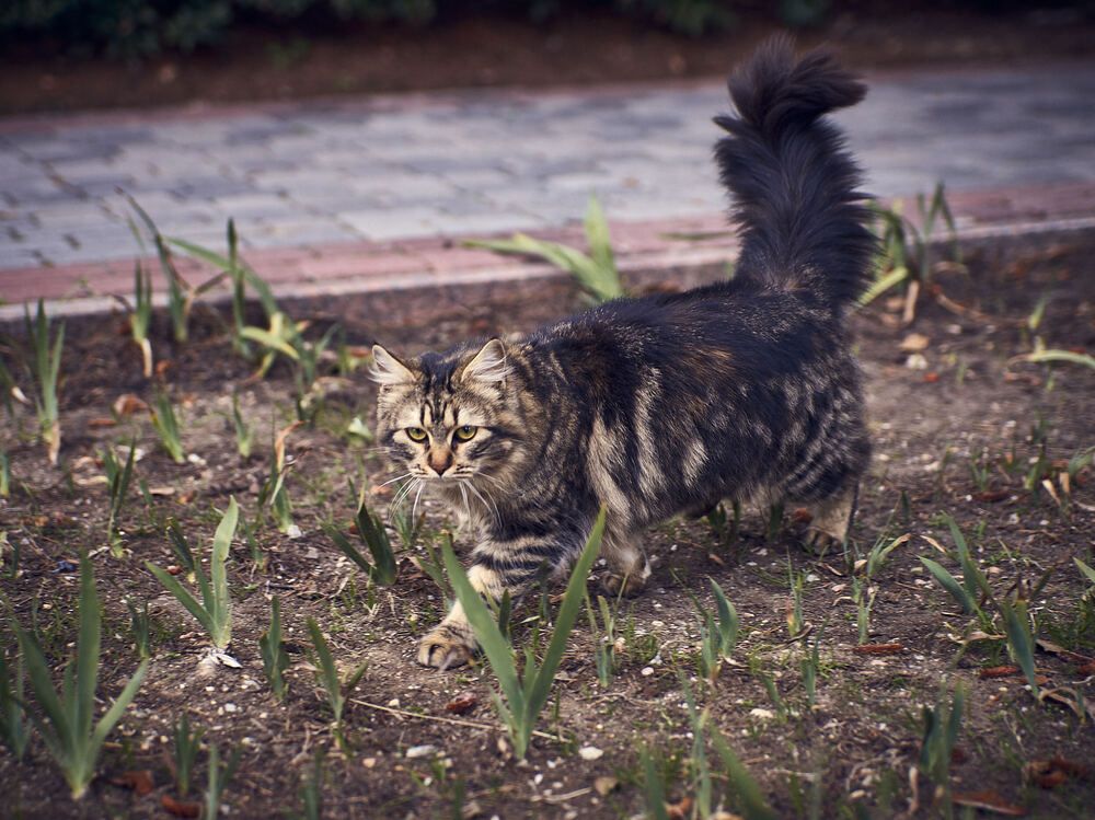 Photograph by Сергей Яблоков