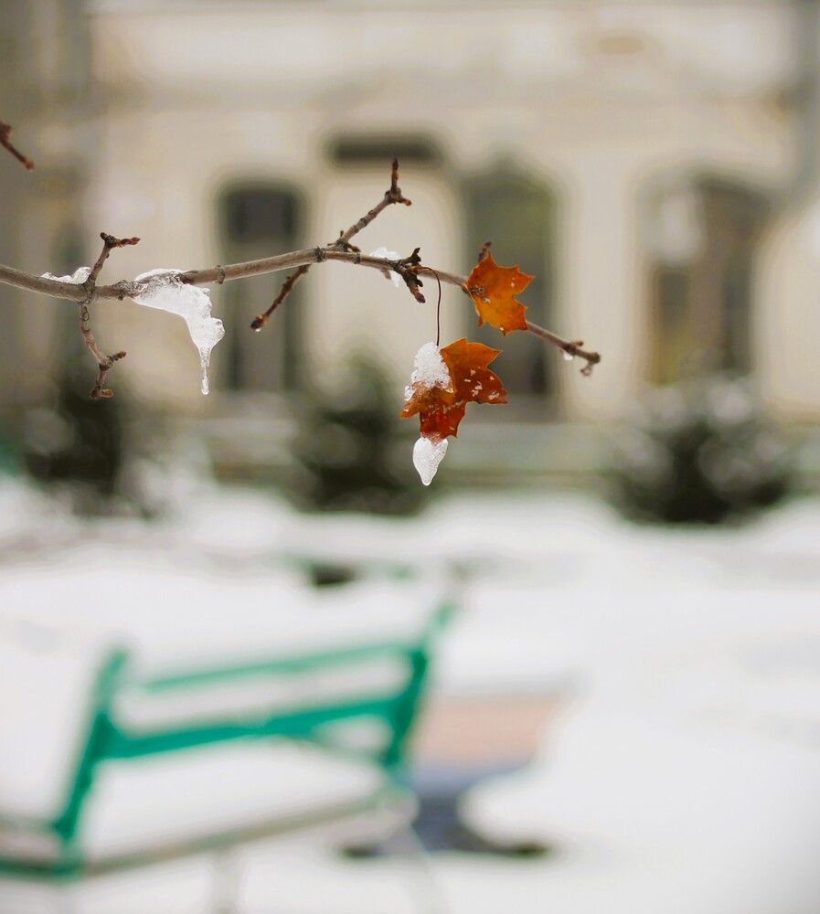 Фотография автора Наталия Ди