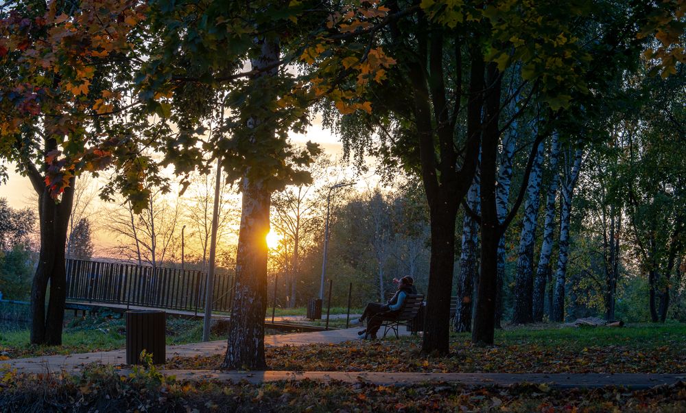 Фотография автора Александр Дюльгер