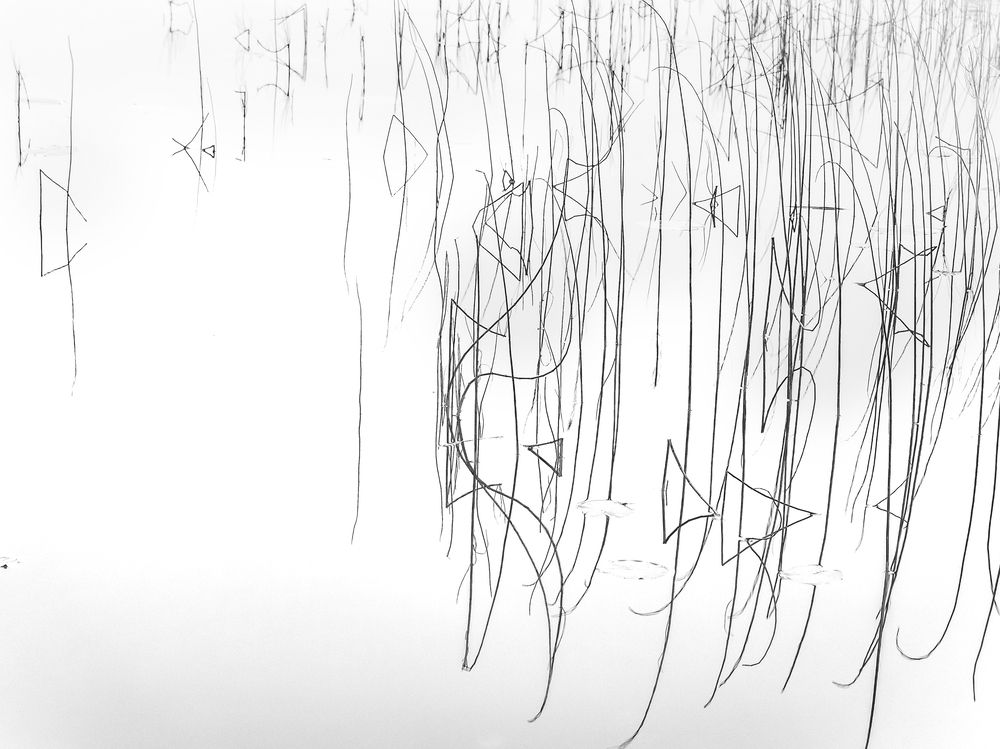 Фотография автора Straand2614