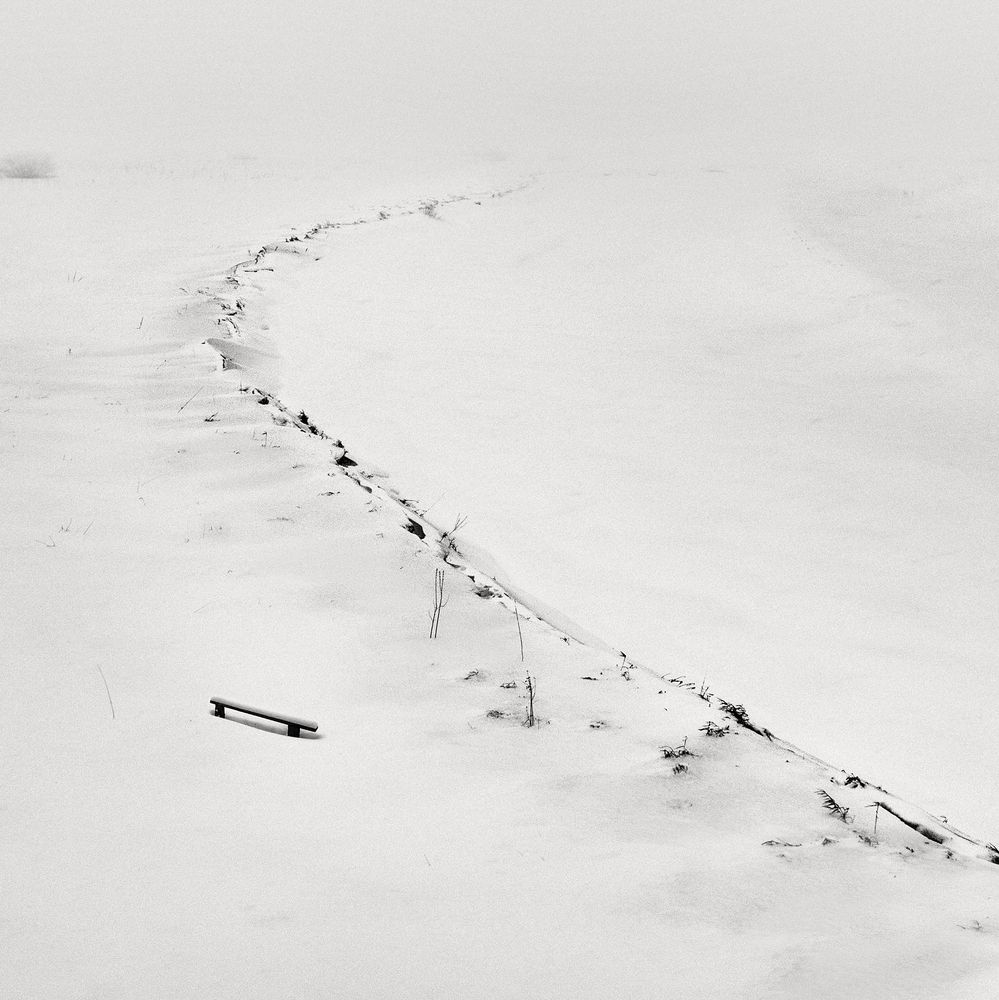 Photograph by Алексей Сергованцев