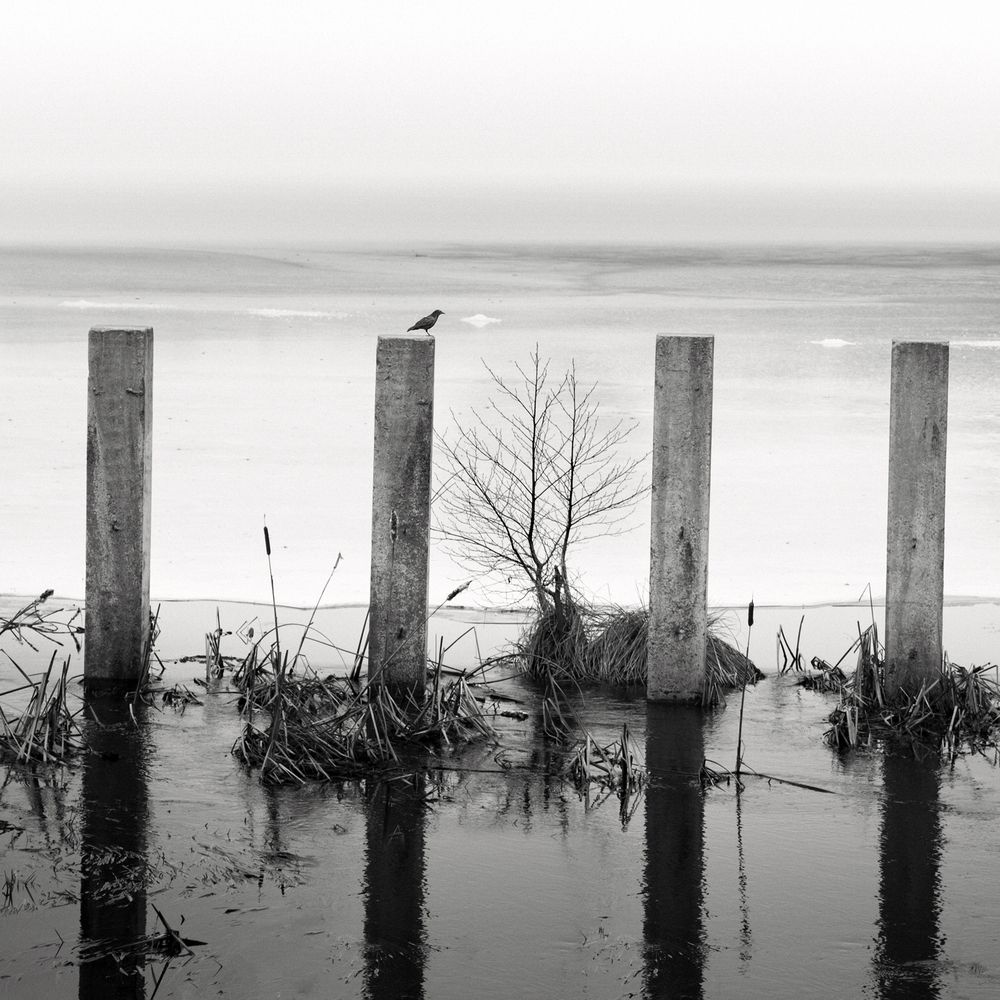 Photograph by Алексей Сергованцев