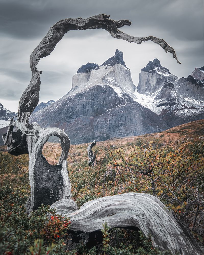 Photograph by Alexey Morkvashentsev