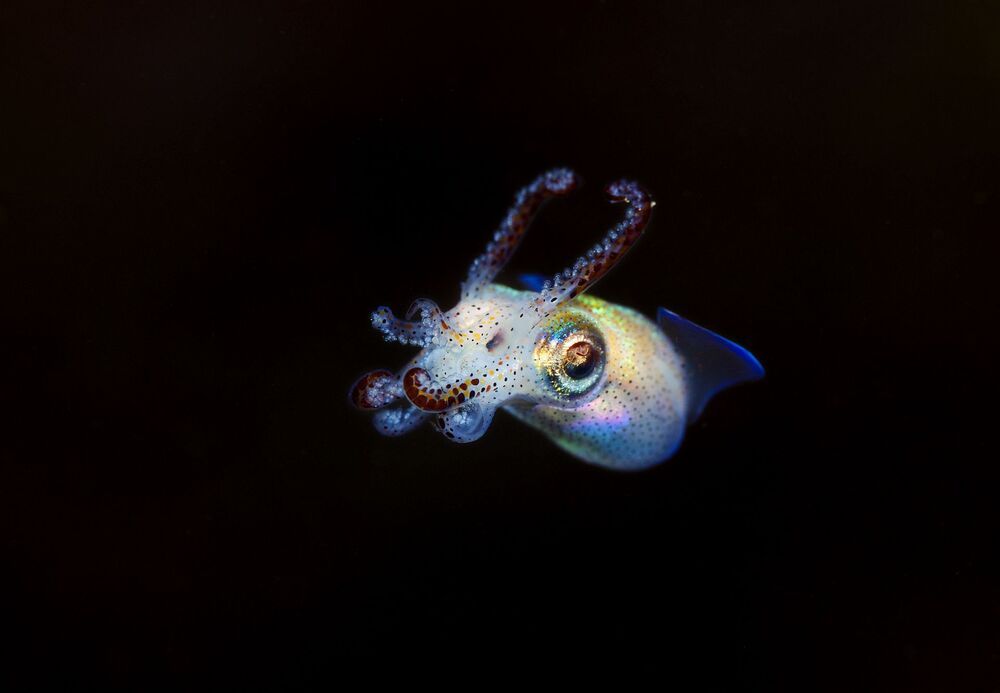 Фотография автора Андрей Нарчук