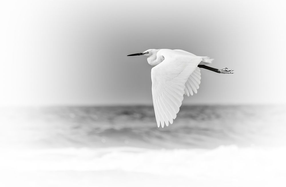 Photograph by Vladimir Bragilevsky