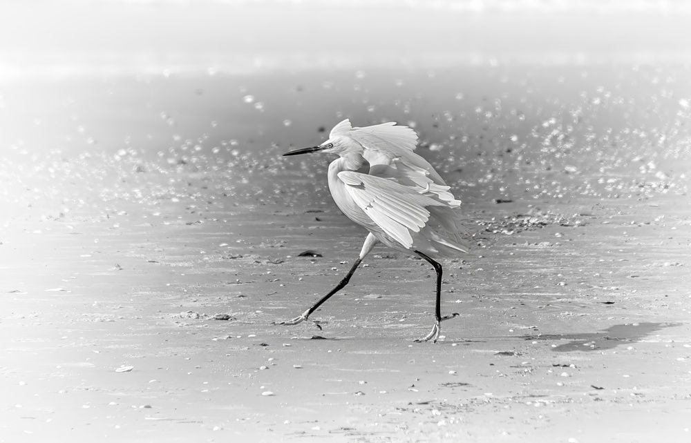 Photograph by Vladimir Bragilevsky