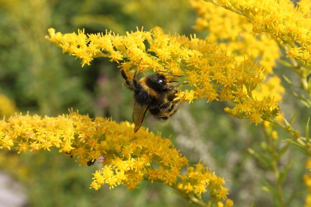 Photograph by Igors Rostikovs