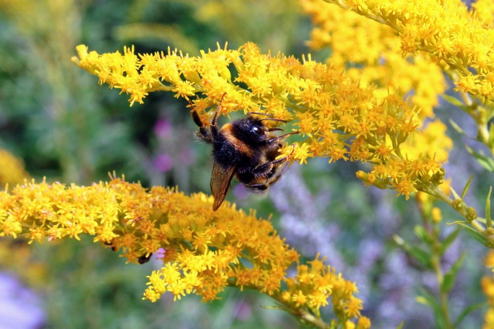 Photograph by Igors Rostikovs