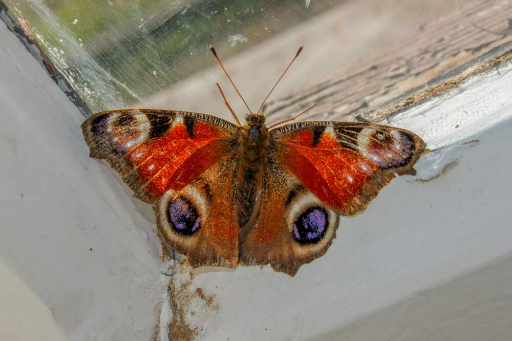 Photograph by Igors Rostikovs