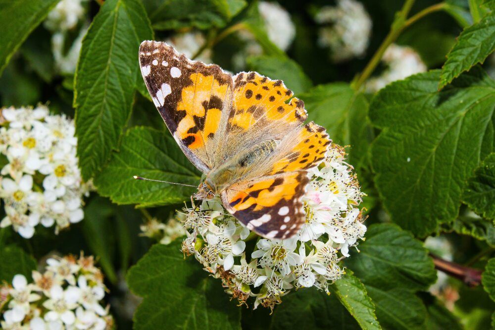 Photograph by Igors Rostikovs