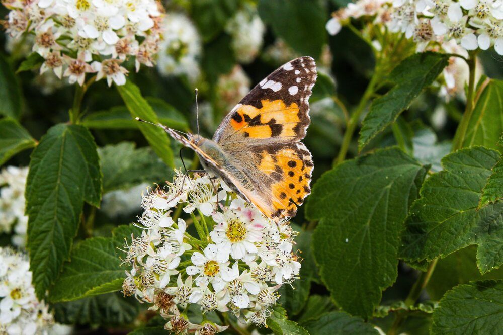 Photograph by Igors Rostikovs