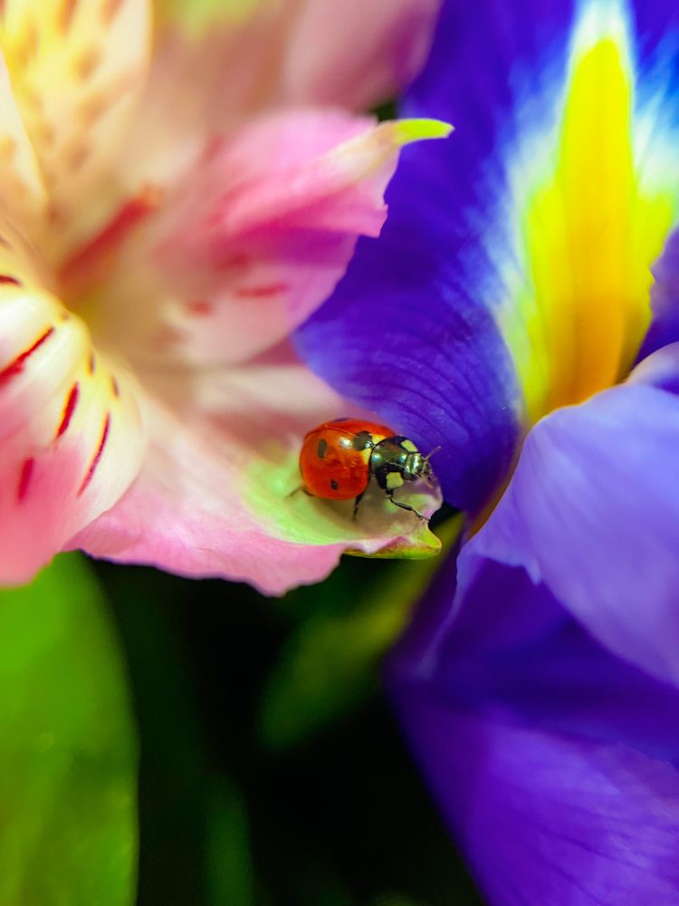 Photograph by Olga Matiashova