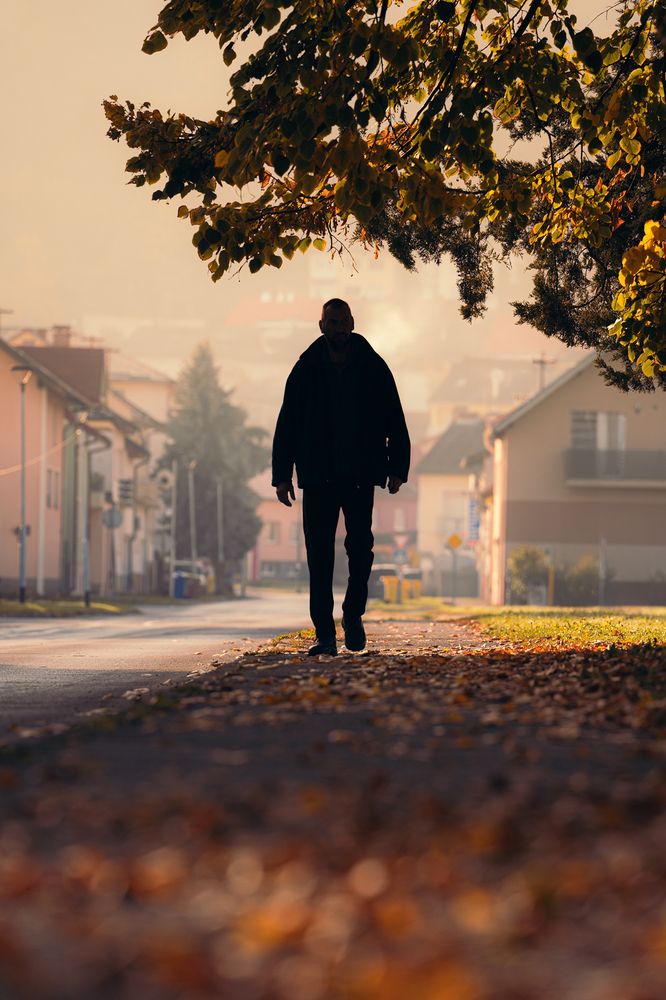 Between light and shadow