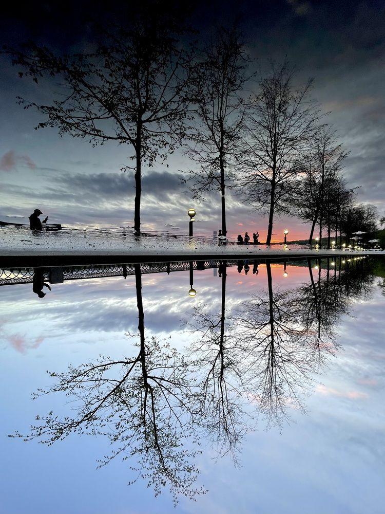 Photograph by Алина Сущинская