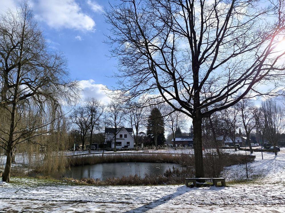 Photograph by Елена Симонова