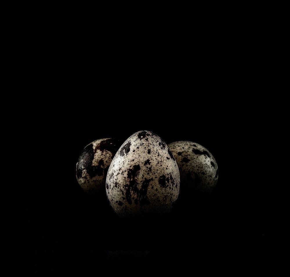 Фотография автора Юлия