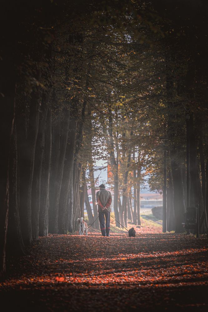 Strolling through autumn’s embrace