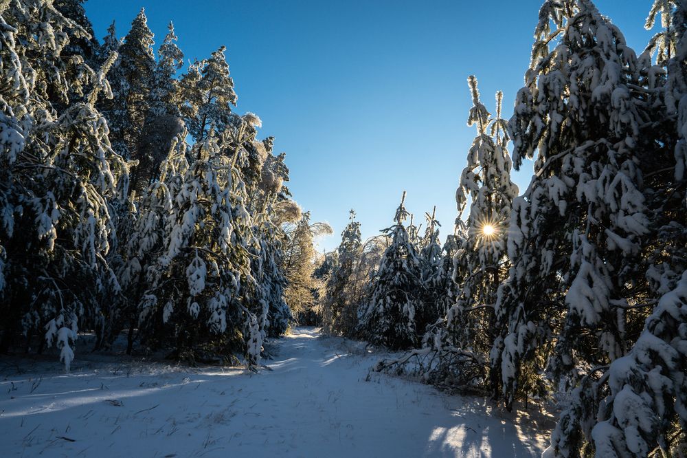 Фотография автора Александр Дюльгер