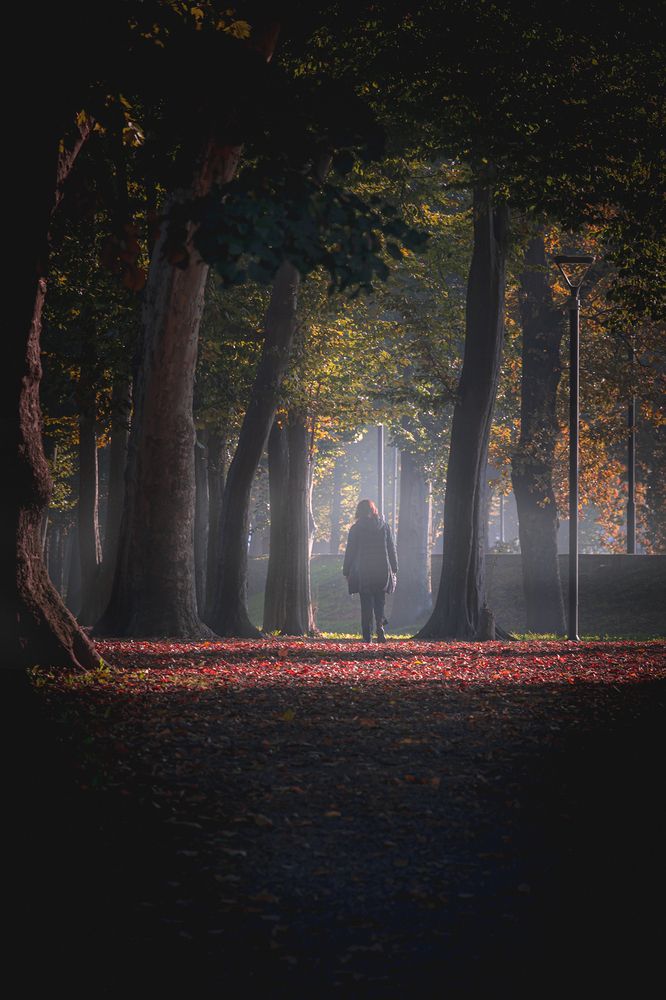 Nature’s palette in the city