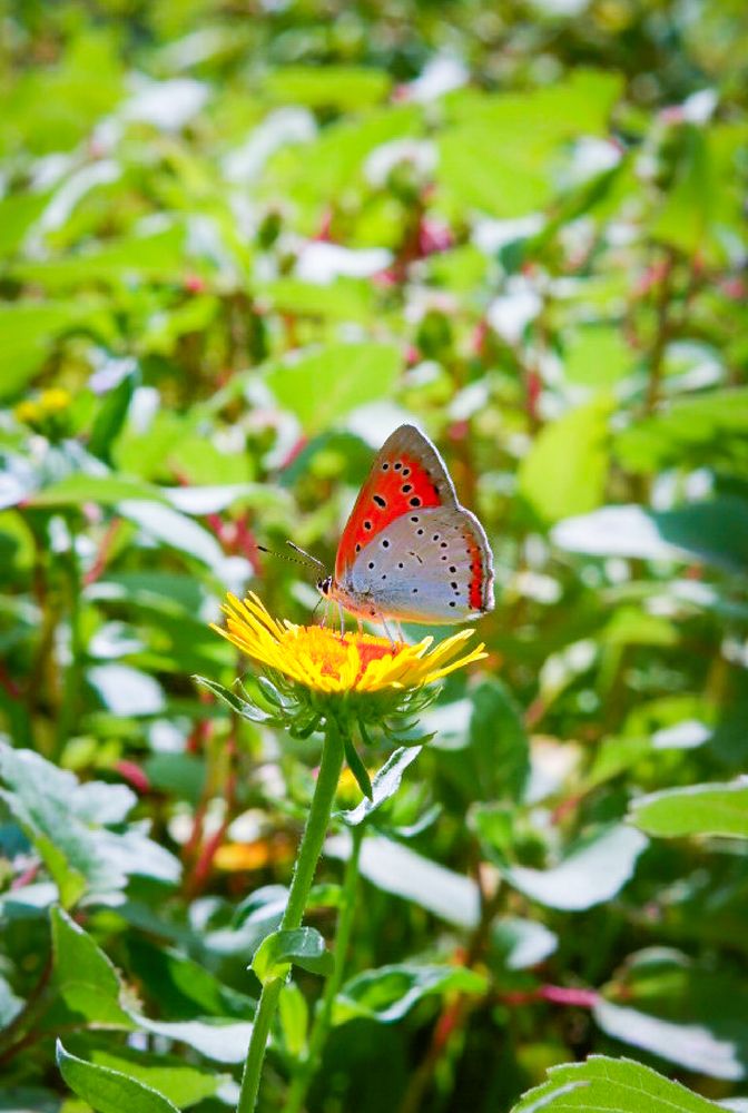 Photograph by Olga Matiashova