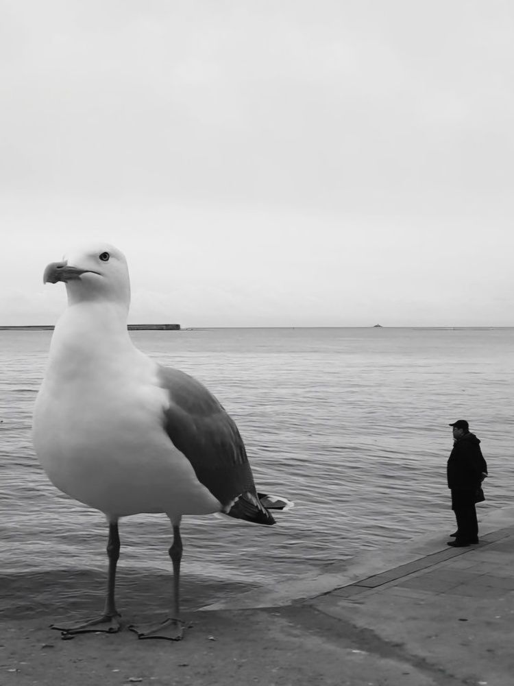 Photograph by Георгий Павлов