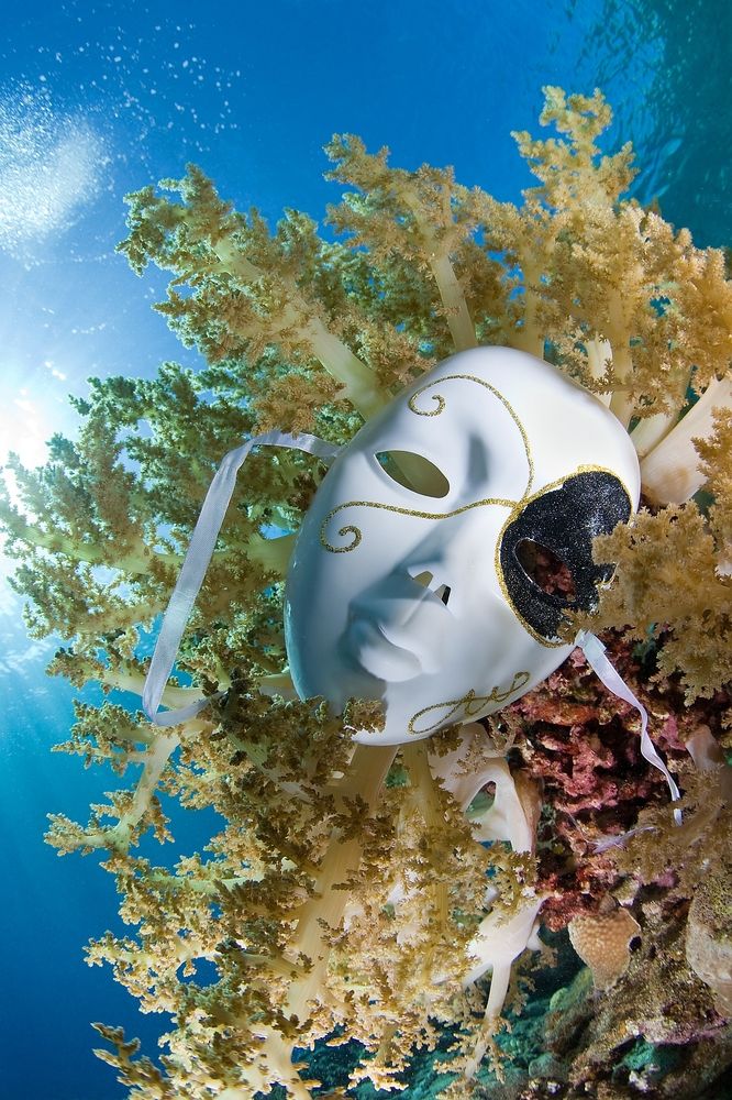 Фотография автора Андрей Нарчук