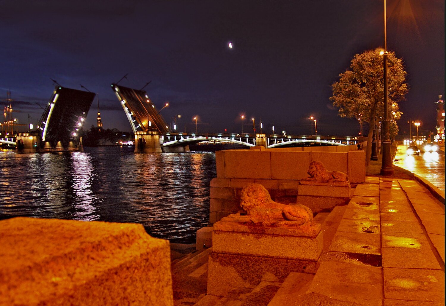 Photo #11890388