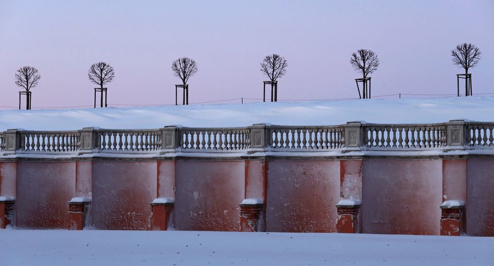 Фотография автора Ирина Муравьева