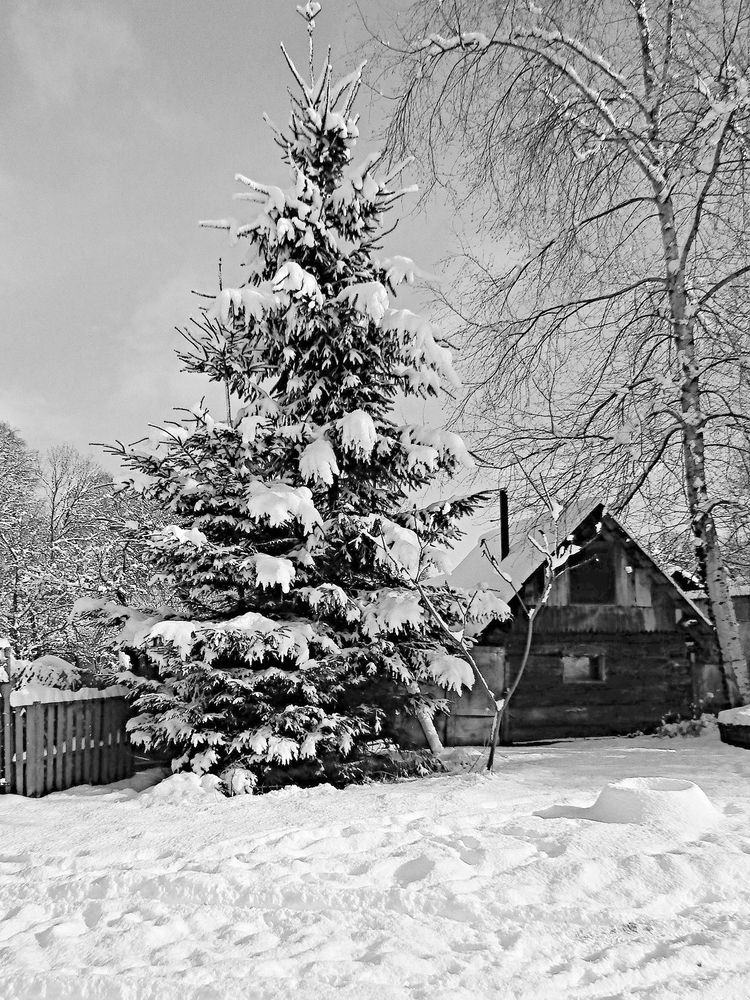 Банька Дмитрича (Dmitrich's bathhouse)