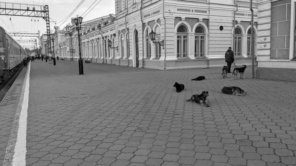 Photo #11890460