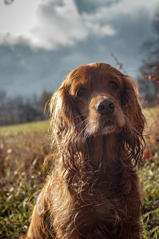 Photograph by Victoria Mogulyan