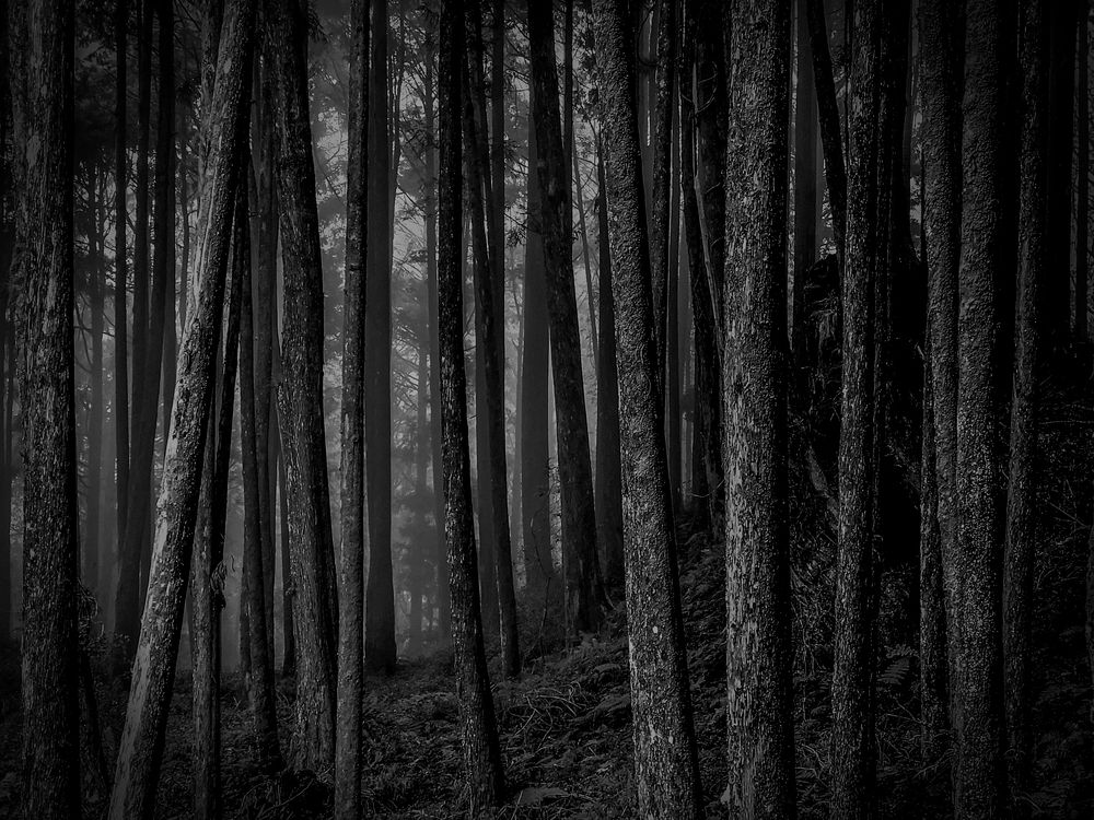 Photograph by WEONBAE PARK