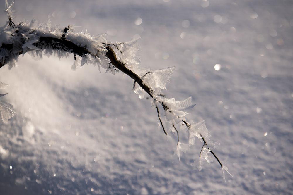 Photograph by Boytcova Anna