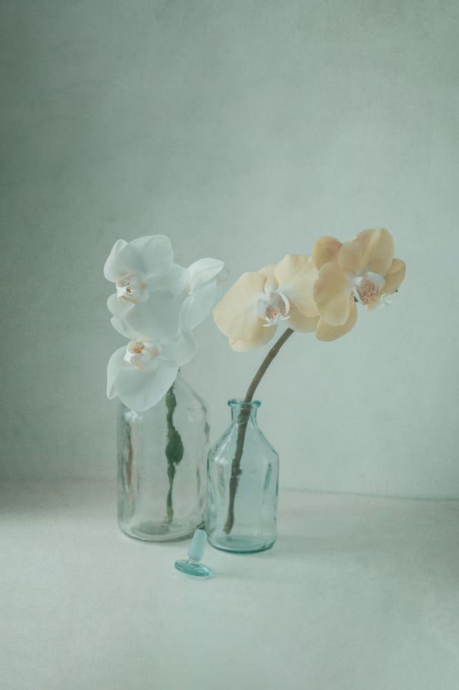 Photograph by Давыдова Алла