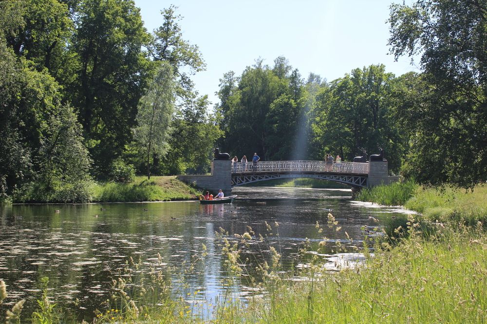 Photograph by Елена Пильцова