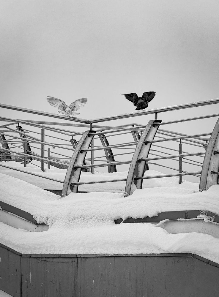 Photograph by Tanzilya Gabidullina