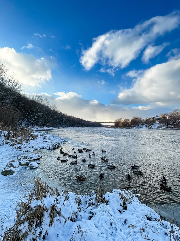 Фотография автора Ольга Каминская