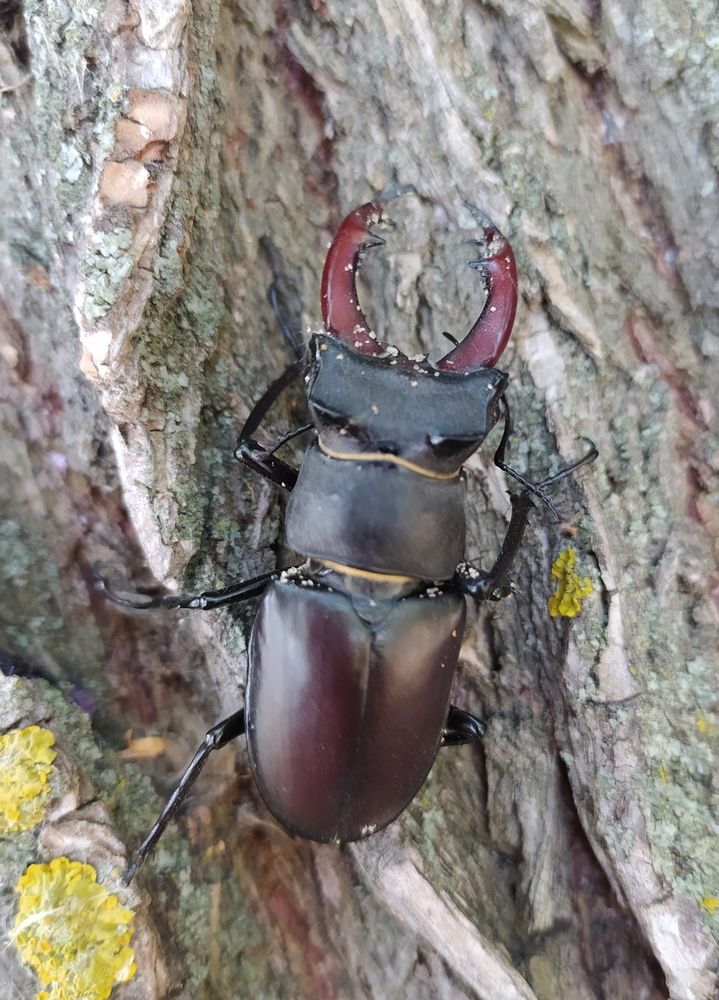 Фотография автора Елена Александрова