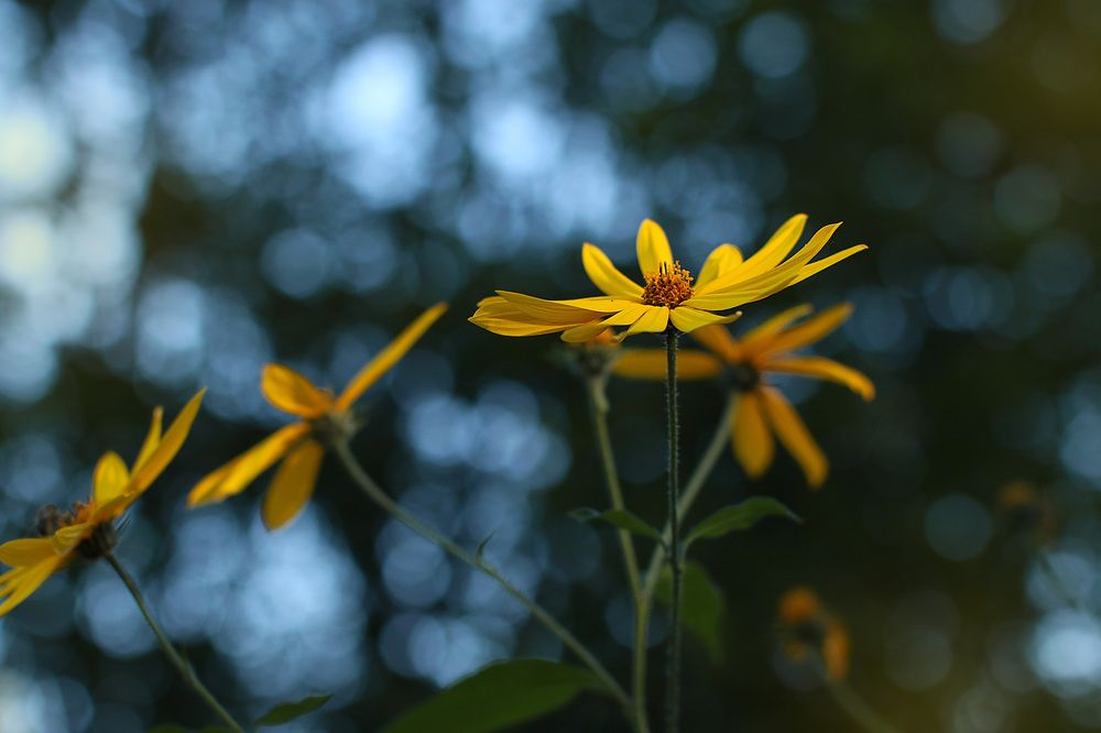Photograph by Елена Федорова