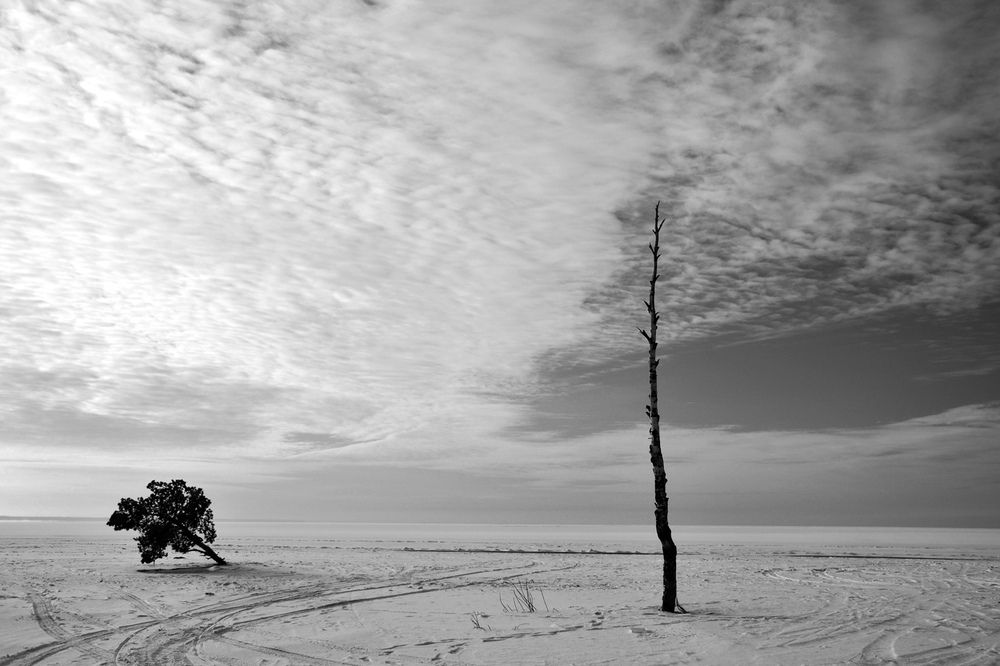 Photograph by Николай Кувшинов