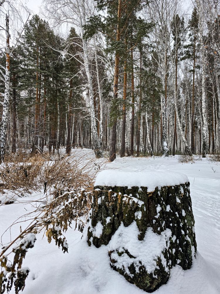 Photograph by Елена Ромашкина