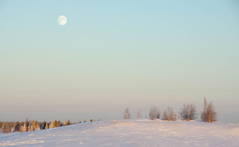 Фотография автора Мария Черница