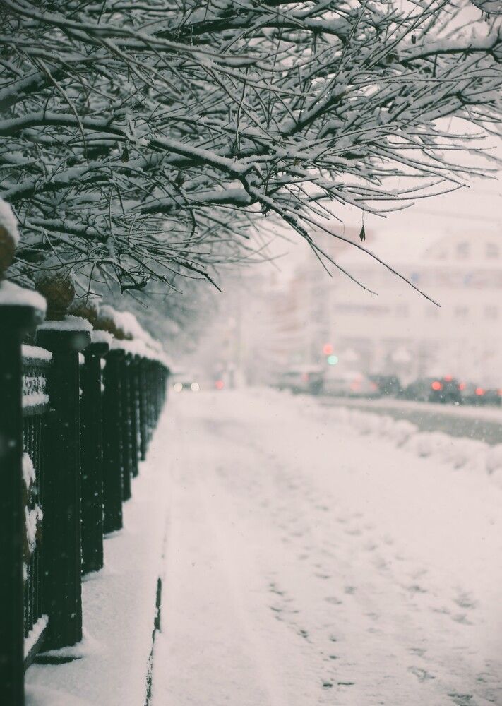 Фотография автора Наталия Ди