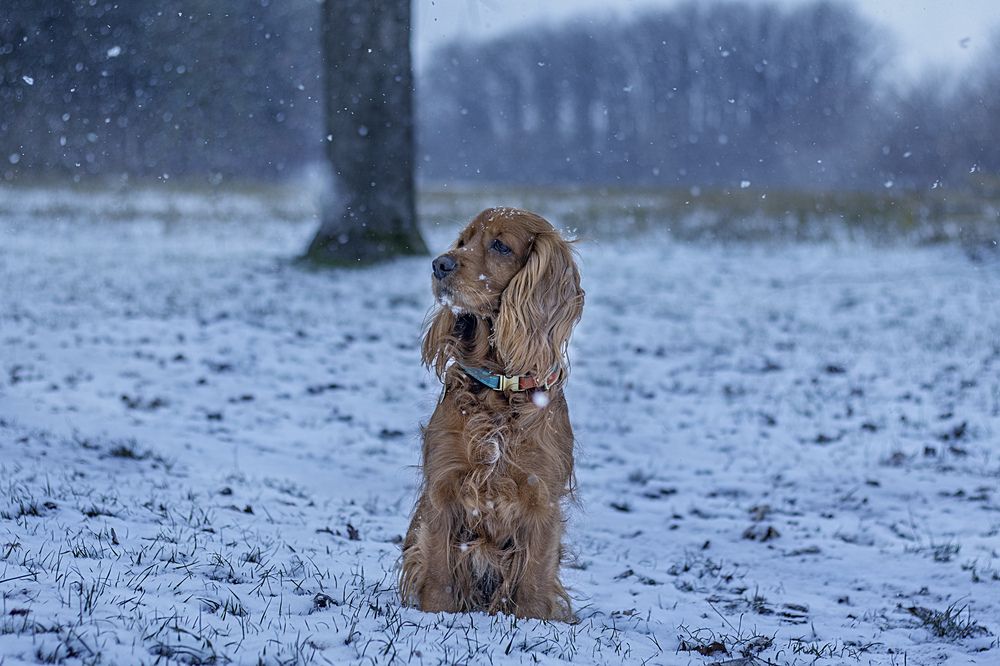 Photograph by Victoria Mogulyan