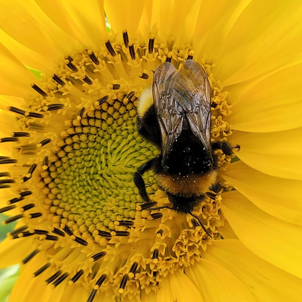 Photograph by Catherine Walter-Prêtre