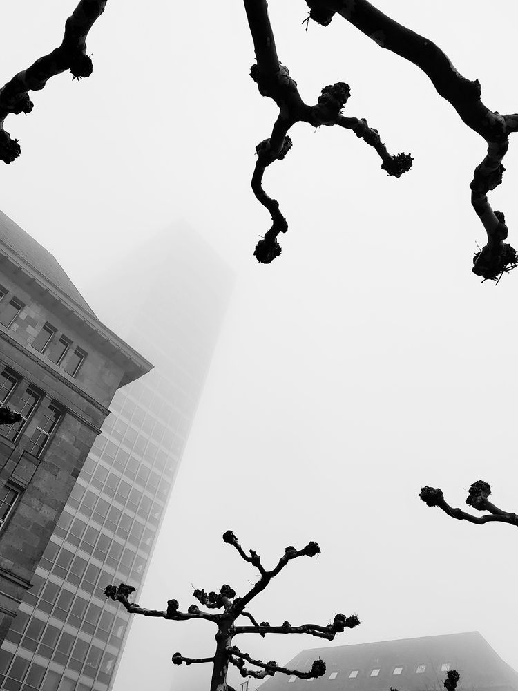 Фотография автора Василий Рябовол