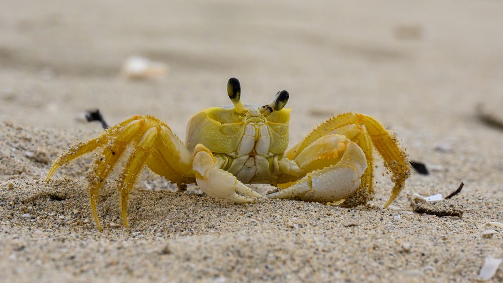 Photograph by Вячеслав Белов